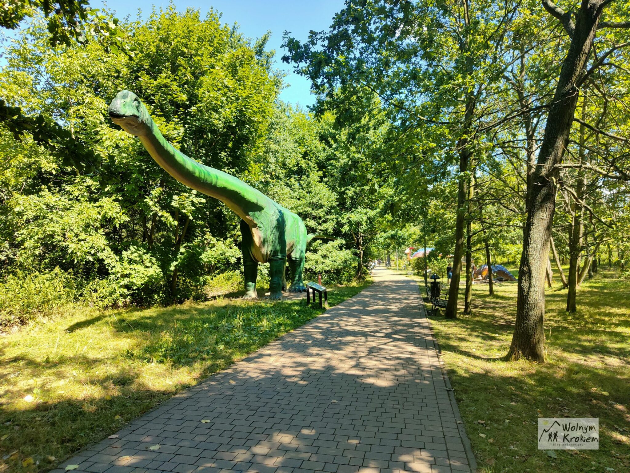 Park dinozaurów w Lubinie - darmowa ptaszarnia i mini zoo - Zoo Lubin