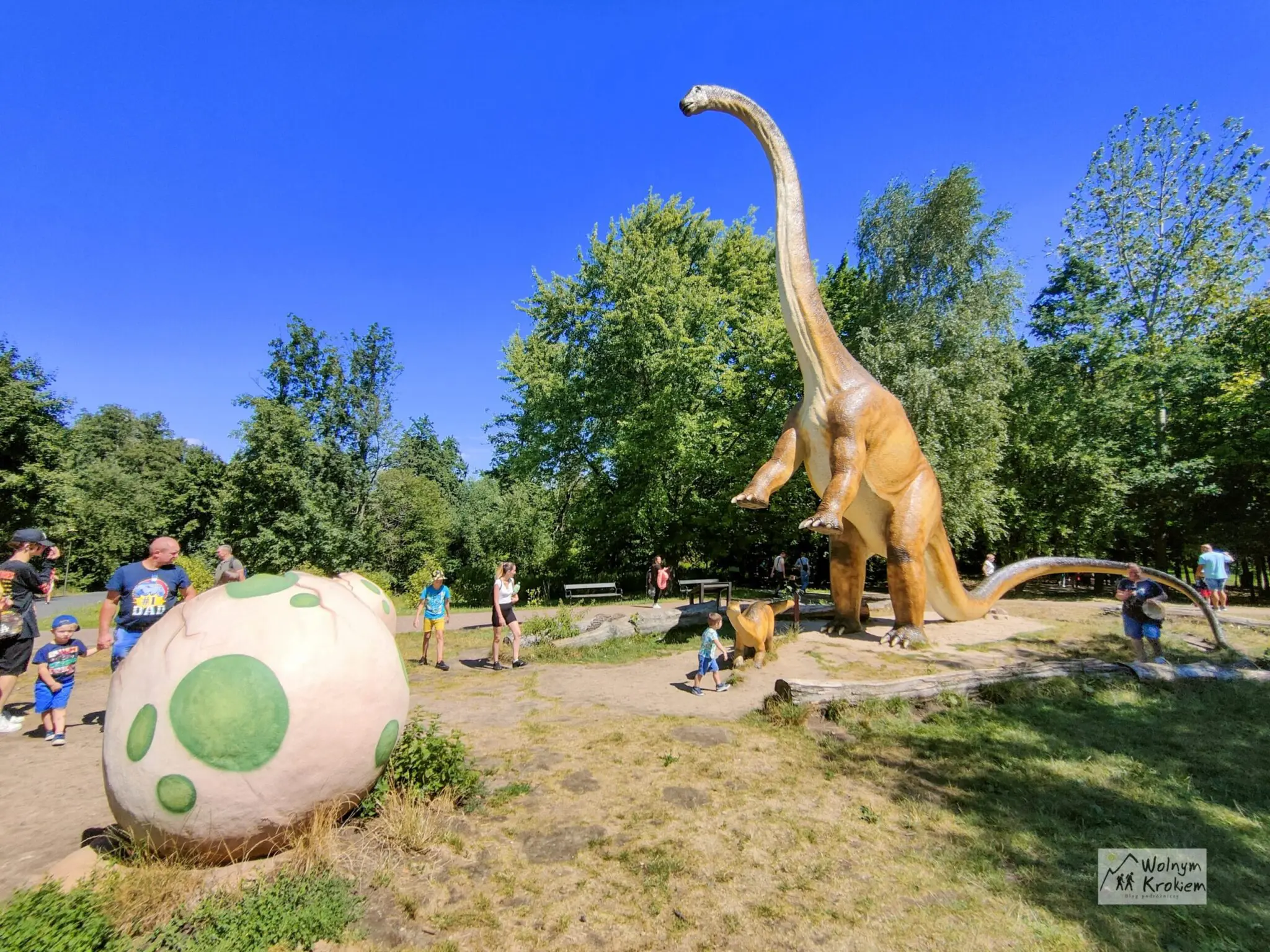 Park dinozaurów w Lubinie - darmowa ptaszarnia i mini zoo - Zoo Lubin