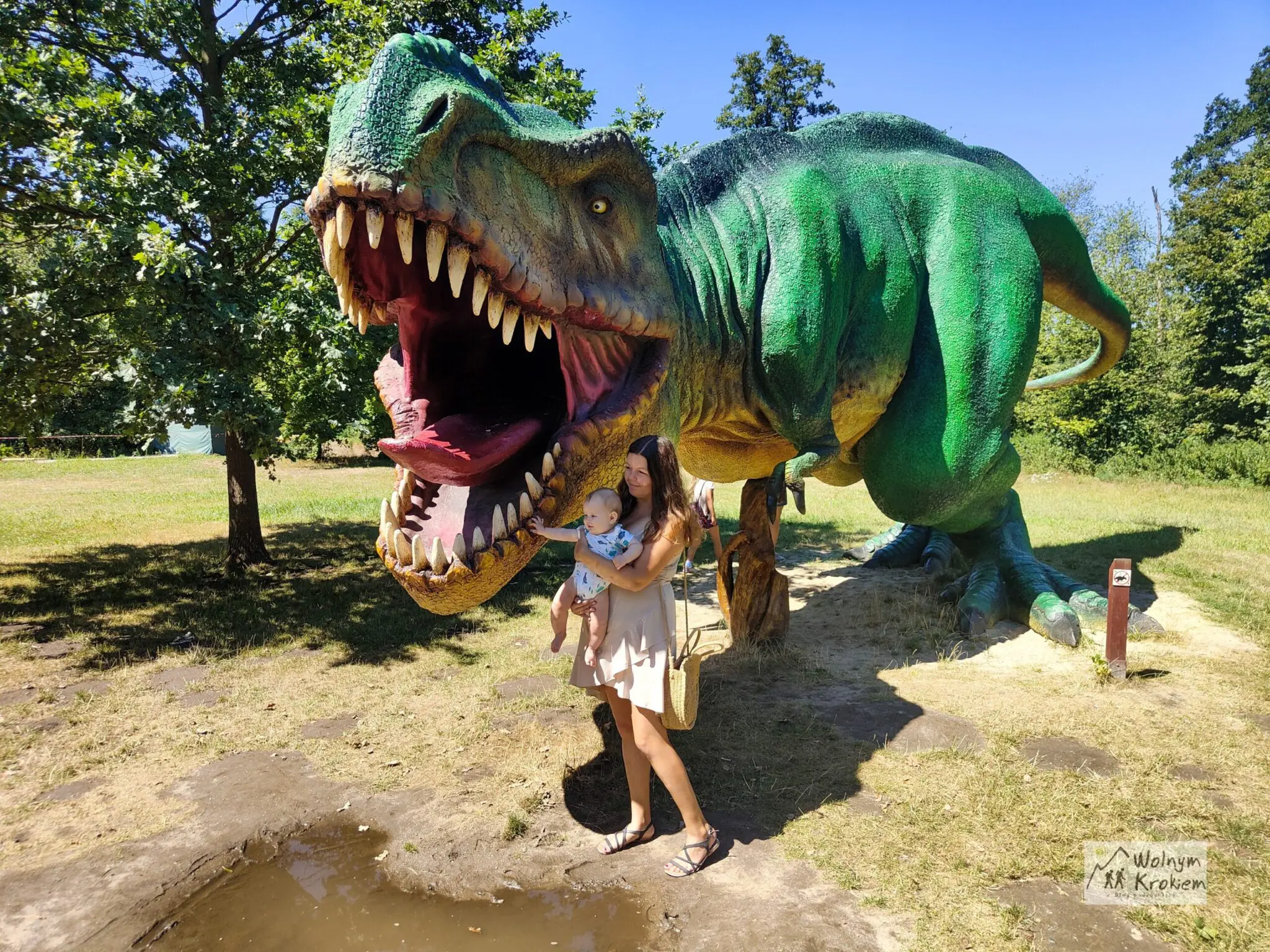 Park dinozaurów Lubin Trex