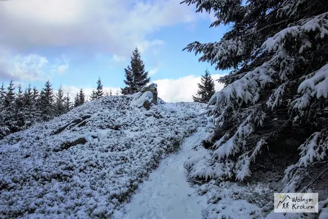 Niskie góry na Dolnym Śląsku idealne na zimę i śnieg