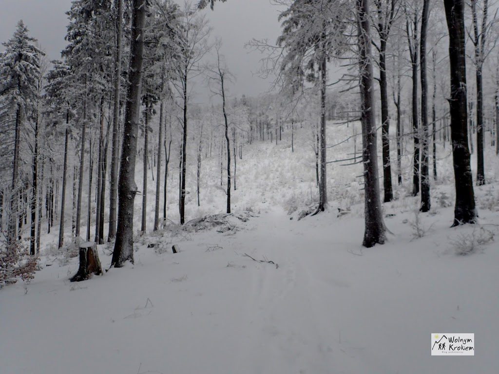 Szlak na KAlenice Góry Sowie zimą