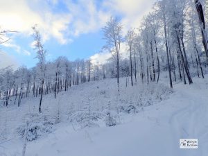 Kalenica Góry Sowie - szlak Zimowy
