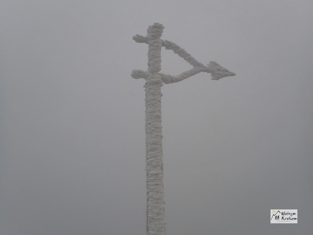 Wieża widokowa na Kalenicy w Górach Sowich - szlak zimowy [ opis i porady ]