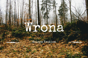 Wrona-1