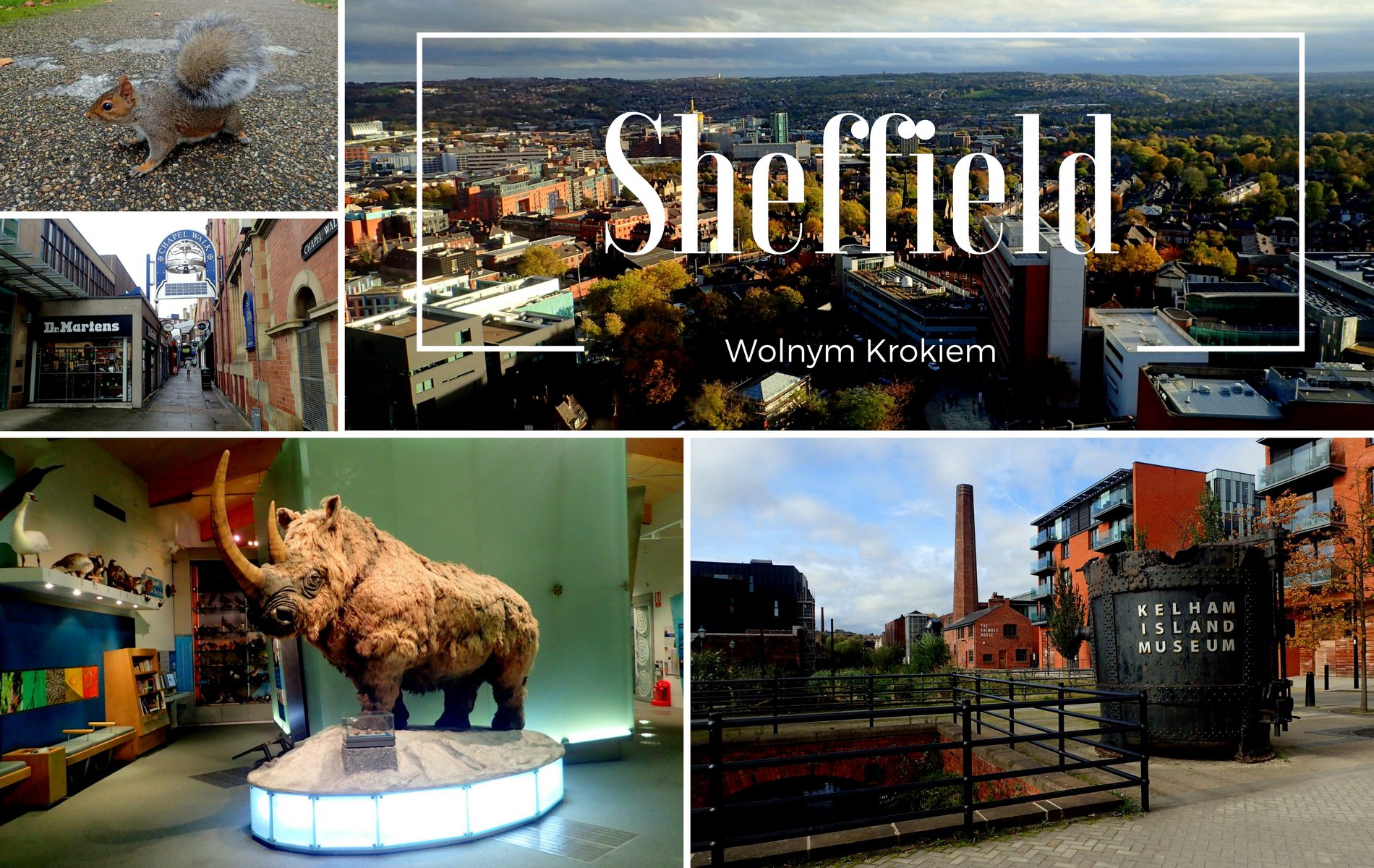 Miasto Sheffield