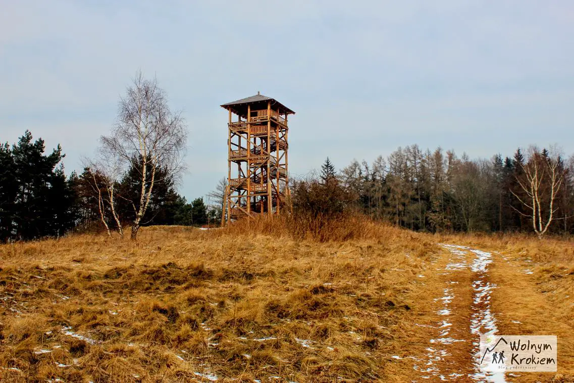 Wieża widokowa w Mieroszowie na Dolnym Śląsku