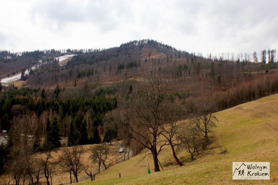Szlak zielony na Wielki Stożek w Beskidzie Śląskim