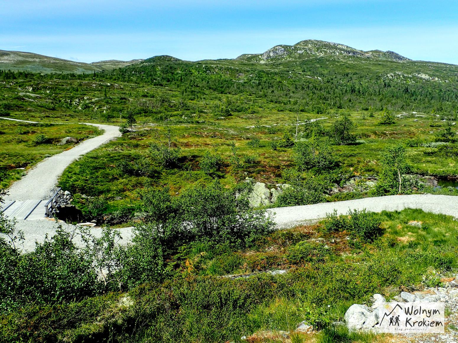 Szlak na Hogevarde 1495 m n.p.m. najwyższy szczyt Norefjell - tylko 2 godziny jazdy od Oslo