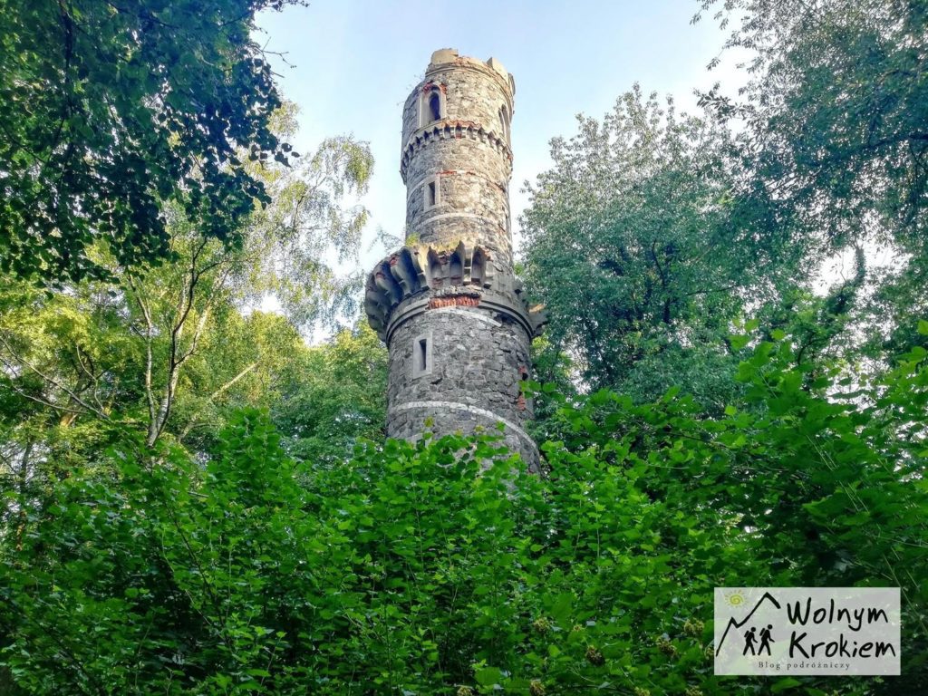 Jańska Góra i ruiny wieży Bismarcka na jej szczycie