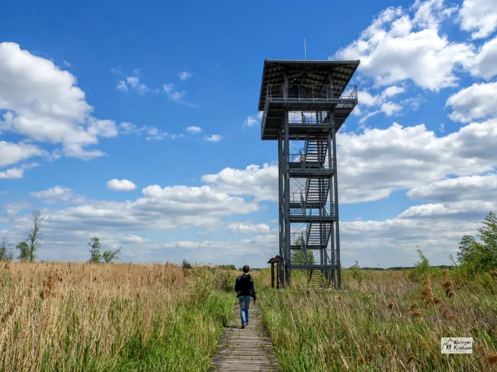 Stawy Przemkowskie w Przemkowskim Parku Krajobrazowym - wieża widokowa