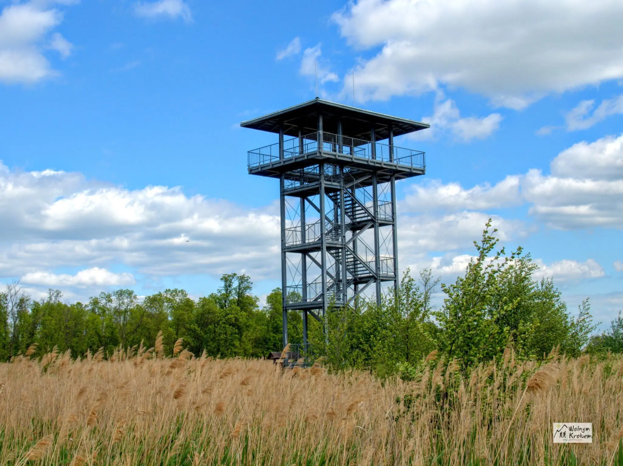 Stawy Przemkowskie w Przemkowskim Parku Krajobrazowym - wieża widokowa