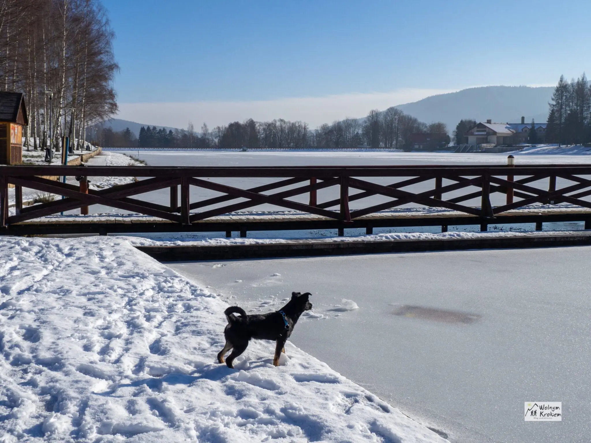 Dolny Śląsk - ulubione miejscówki na rodzinny wyjazd wraz z psem