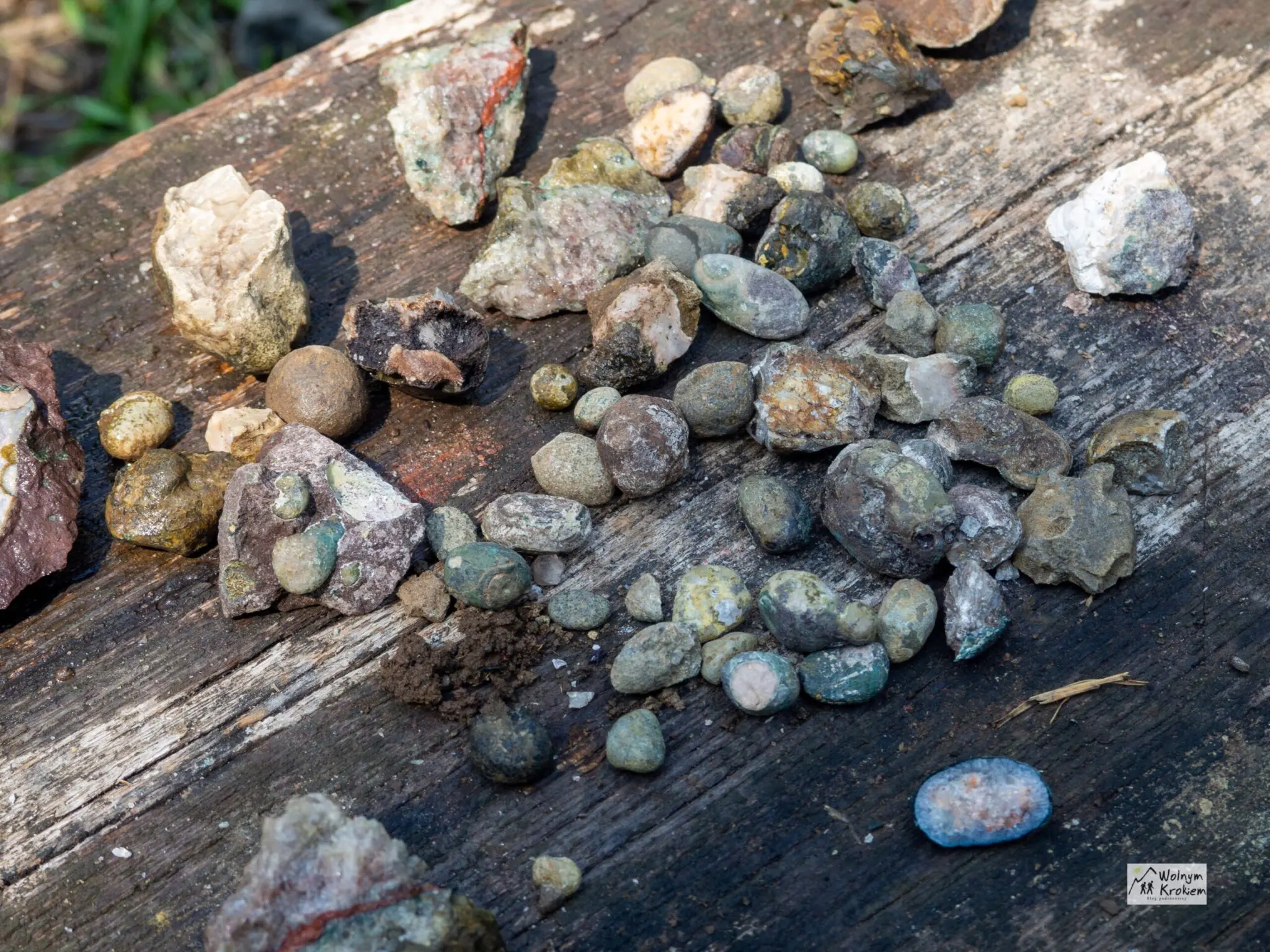 Kamieniołom Łomy w Lubiechowej - w poszukiwaniu agatów i innych minerałów