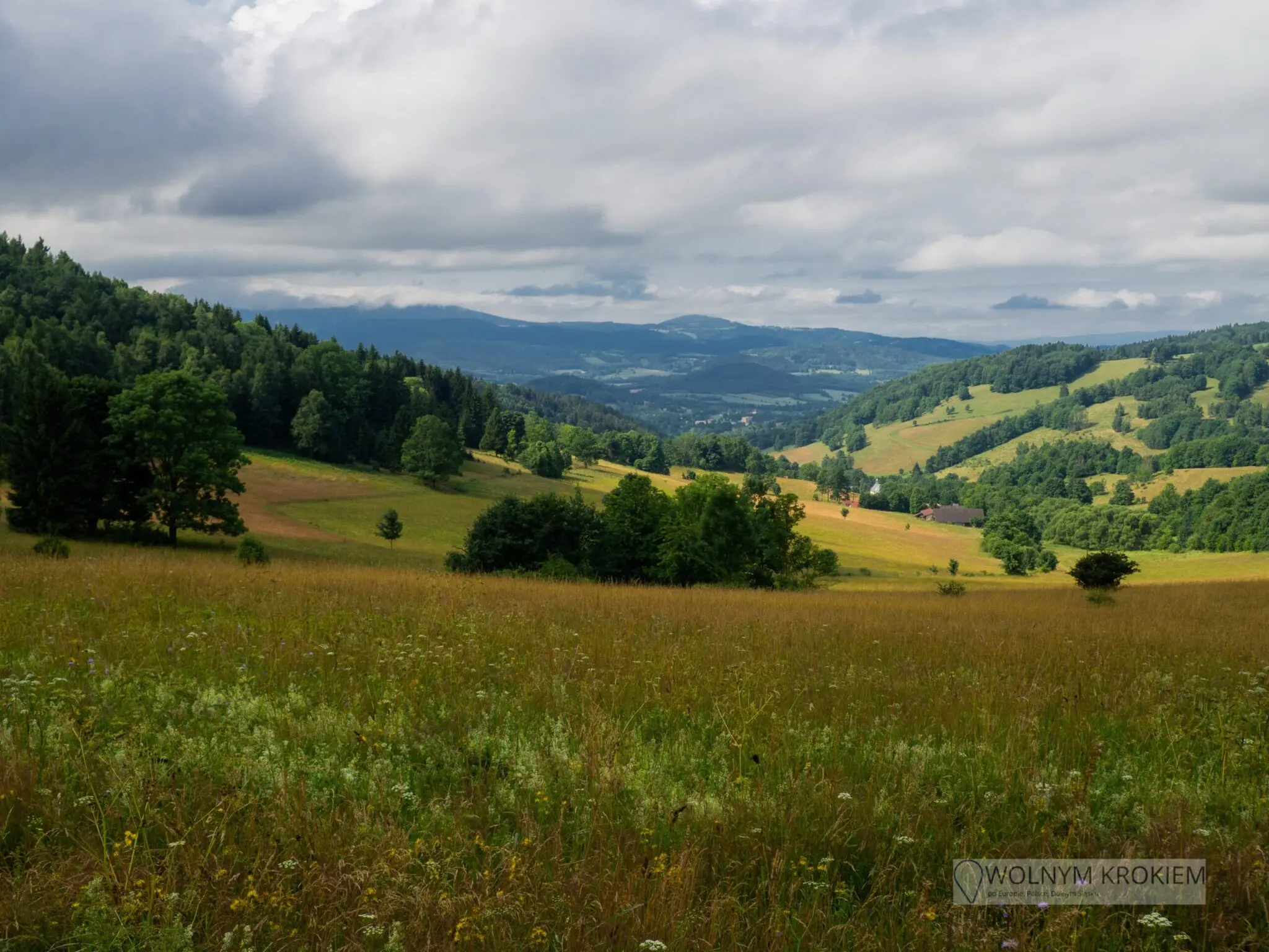 Góra Borówkowa, szlak z Przełęczy Lądeckiej na wieżę widokową