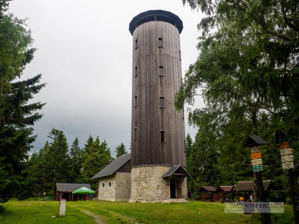 Borówkowa Wieża widokowa