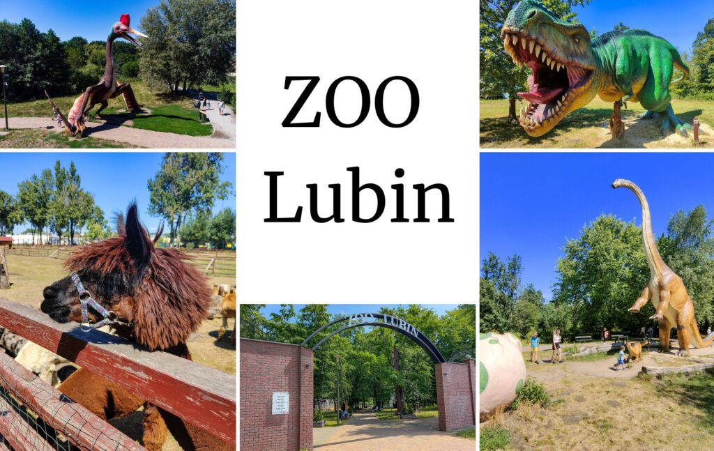 Park dinozaurów w Lubinie darmowa ptaszarnia i mini zoo Zoo Lubin
