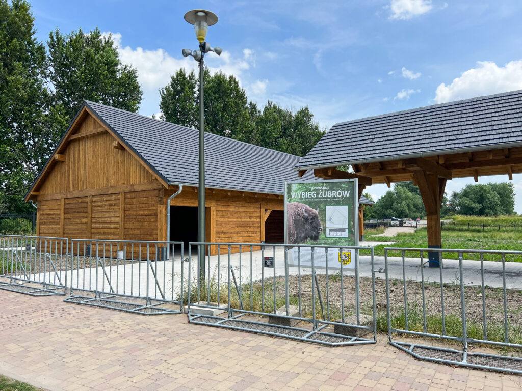 Park dinozaurów w Lubinie - darmowa ptaszarnia i mini zoo - Zoo Lubin 59 ZOO Lubin żubr