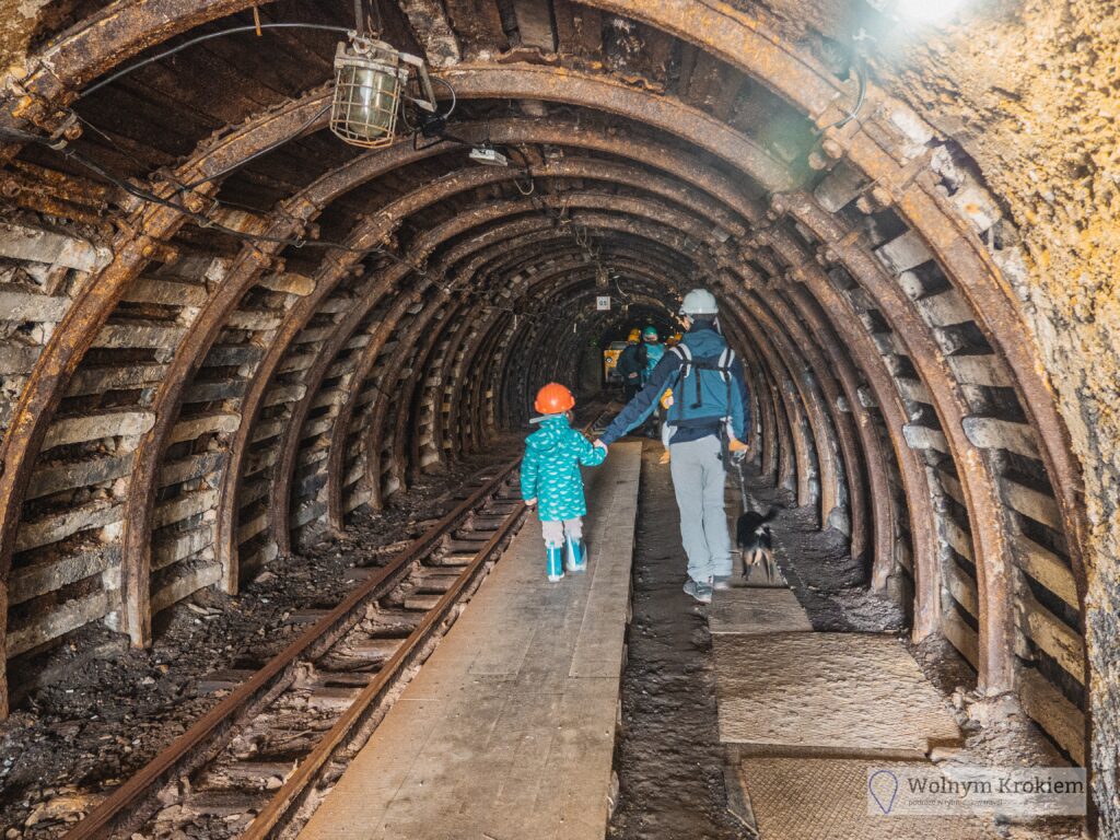 Kopalnia Węgla w Nowej Rudzie - poznaj historię górnictwa na Dolnym Śląsku