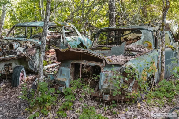 Cmentarzysko samochodów na granicy Szwecji z Norwegią (Bastnäs) - stare auta porzucone w środku lasu