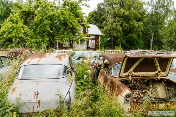 Cmentarzysko samochodów na granicy Szwecji z Norwegią (Bastnäs) - stare auta porzucone w środku lasu